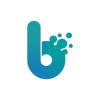 Blinx Solutions